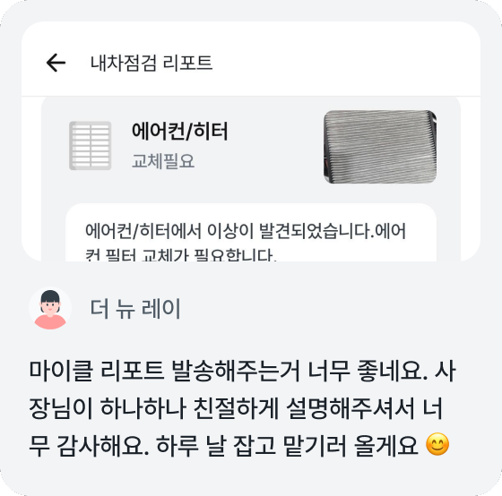 더 뉴 레이 후기